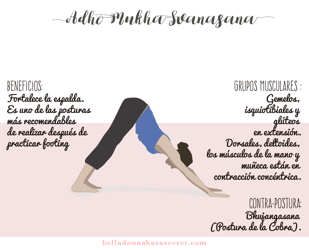 Posturas Yoga, Asanas, tipos de yoga
